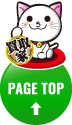 pagetop